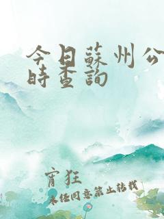 今日苏州公交实时查询 今日苏州公交实时查询