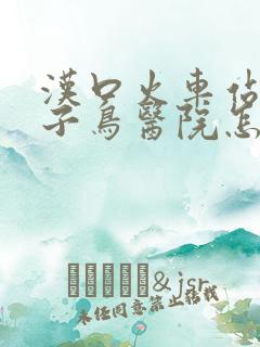 汉口火车站到送子鸟医院怎么坐车 汉口火车站到送子鸟医院怎么坐车