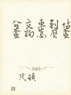 公交车到站实时查询怎么查