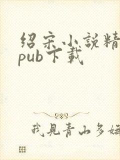 绍宋小说精校epub下载