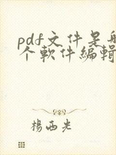 pdf文件是哪个软件编辑的
