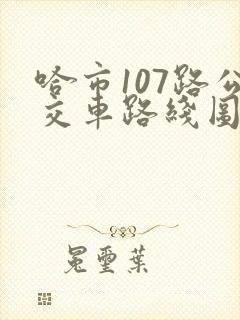 哈市107路公交车路线图