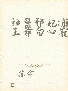 神医邪妃:腹黑王爷勾心宠 神医邪妃:腹黑王爷勾心宠