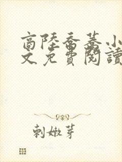 商陆乔荞小说全文免费阅读正版