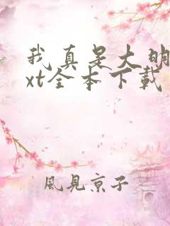 我真是大明星txt全本下载