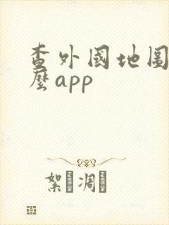 查外国地图用什么app