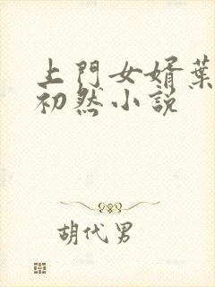 上门女婿叶辰萧初然小说