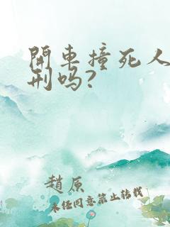 开车撞死人会判刑吗?