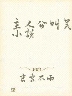 主人公叫吴勉的小说