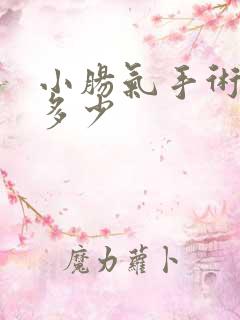 小肠气手术费用多少