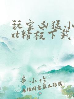 玩家凶猛小说txt精校下载