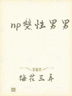 np双性男男h
