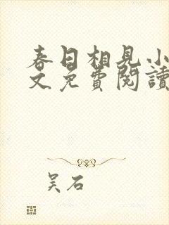 春日相见小说全文免费阅读笔趣阁