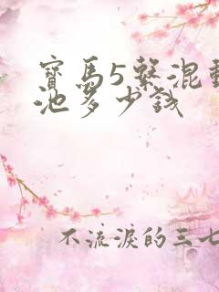 宝马5系混动电池多少钱