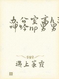 办公室高h荡肉呻吟np男男