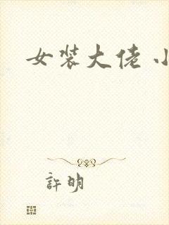 女装大佬 小说