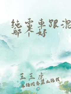 纯电车跟混动车哪个好