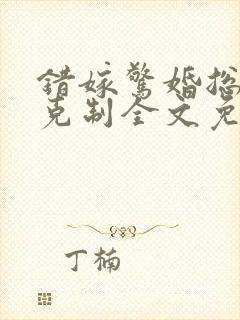 错嫁惊婚总裁请克制全文免费阅读