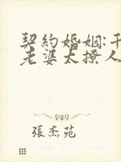 契约婚姻:千亿老婆太撩人沈浪全文小说