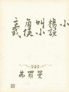 主角叫杨小天的武侠小说