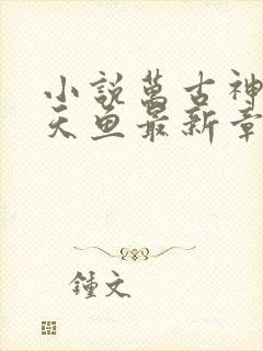 小说万古神帝飞天鱼最新章节阅读 小说万古神帝飞天鱼最新章节阅读