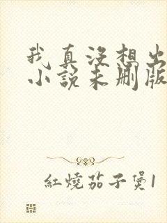我真没想出名啊小说未删版txt