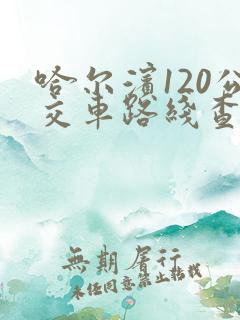 哈尔滨120公交车路线查询查