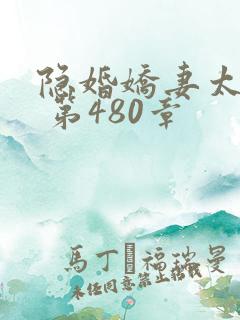 隐婚娇妻太迷人 第480章 隐婚娇妻太迷人 第480章