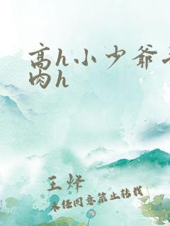 高h小少爷受荡肉h