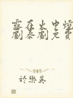 露在火中烧电视剧泰剧免费观看