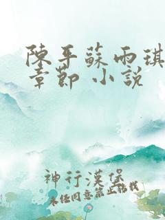 陈平苏雨琪最新章节 小说
