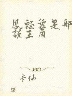凤轻舞是哪部小说主角