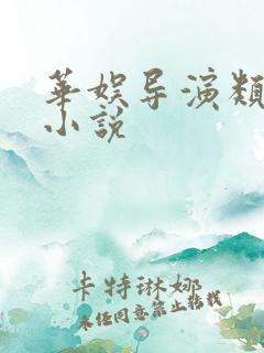 华娱导演类长篇小说