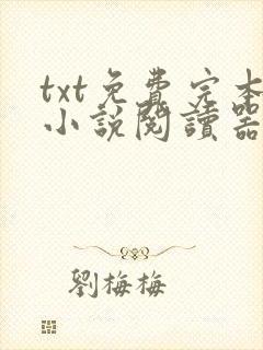 txt免费完本小说阅读器下载