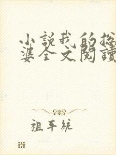 小说我的总裁老婆全文阅读