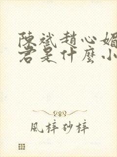 陈斌赵心媚高婉君是什么小说
