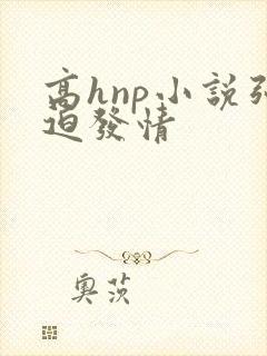高hnp小说强迫发情