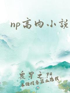 np高肉小说