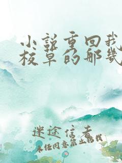 小说重回我爸当校草的那几年