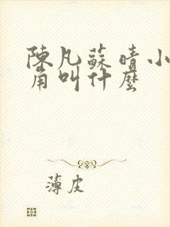 陈凡苏晴小说主角叫什么