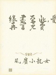 缘尽至此,爱不再言免费