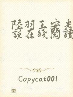 陆羽王安光的小说在线阅读无弹窗