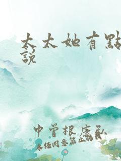太太她有点疯小说