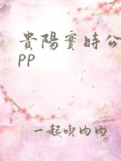贵阳实时公交app