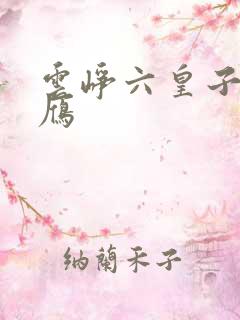 云峥六皇子沈落雁