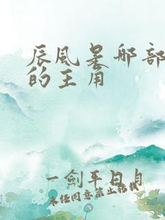 辰风是哪部小说的主角