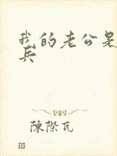 我的老公是特种兵