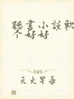 听书小说软件哪个好好