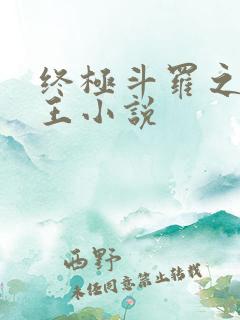 终极斗罗之灵龙王小说