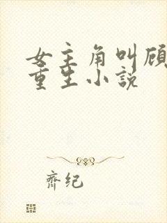 女主角叫顾清欢重生小说